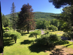  Slide Mountain Forest House  Оливерея